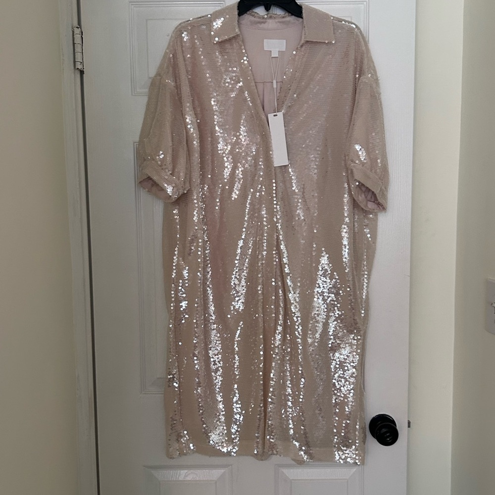 Everly Shimmering Sequin Button Down Dress